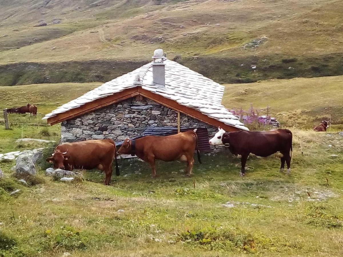 Les Balcons PROCHE PARC NATIONAL VANOISE appartements 2 pièces 6 pers MONTAGNE SUPERIEUR Termignon Esterno foto